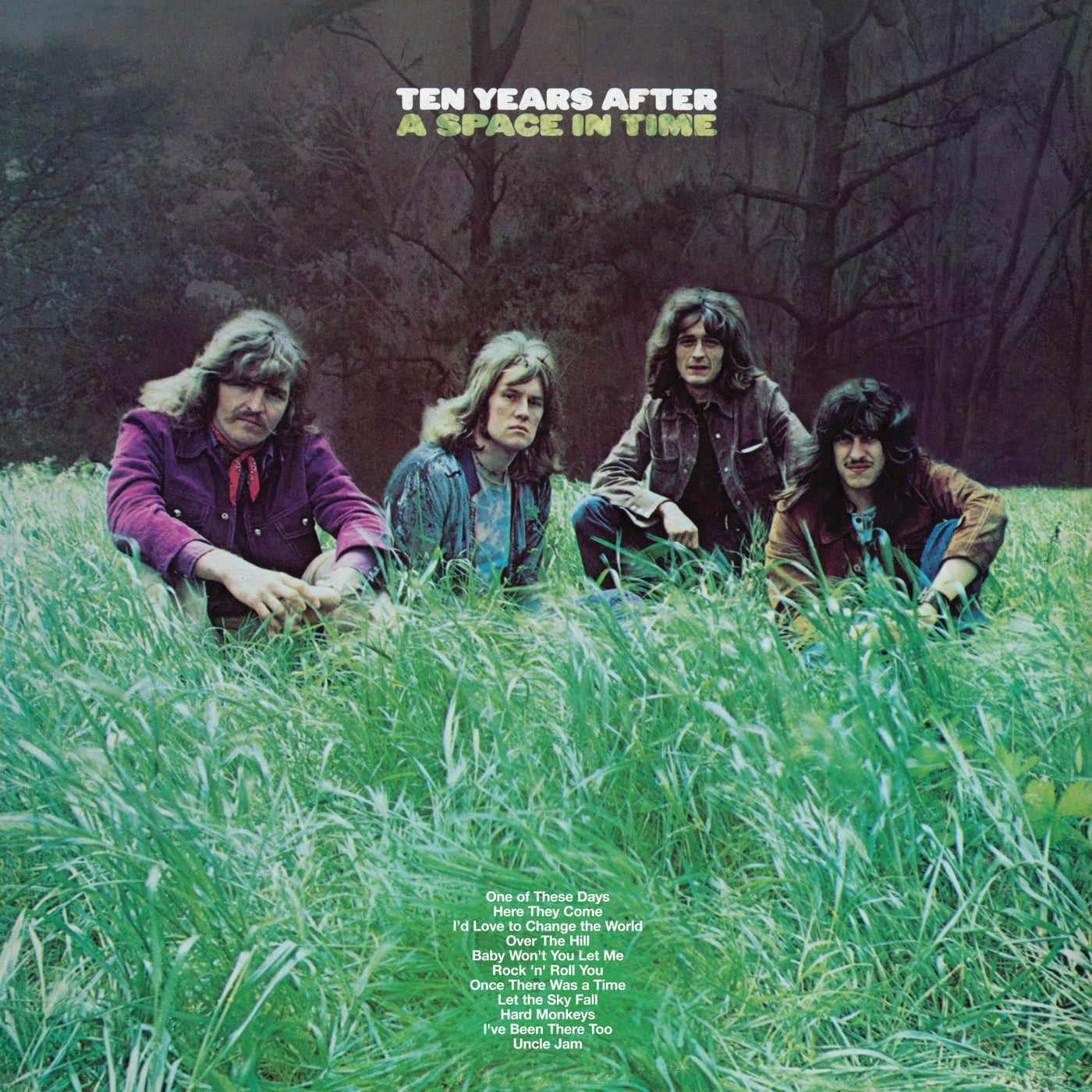 Ten Years After - A Space in Time - VINTAGE vinyl record for sale