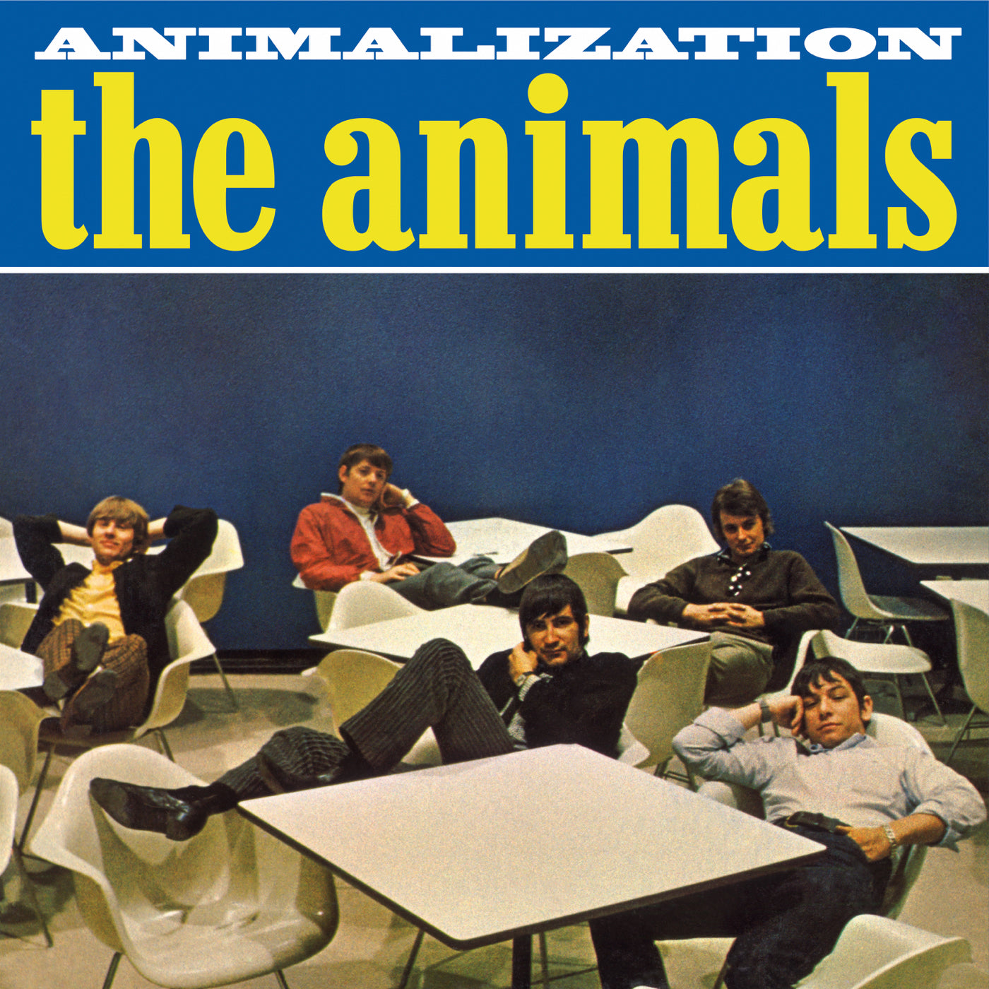Animals - Animalization - LP