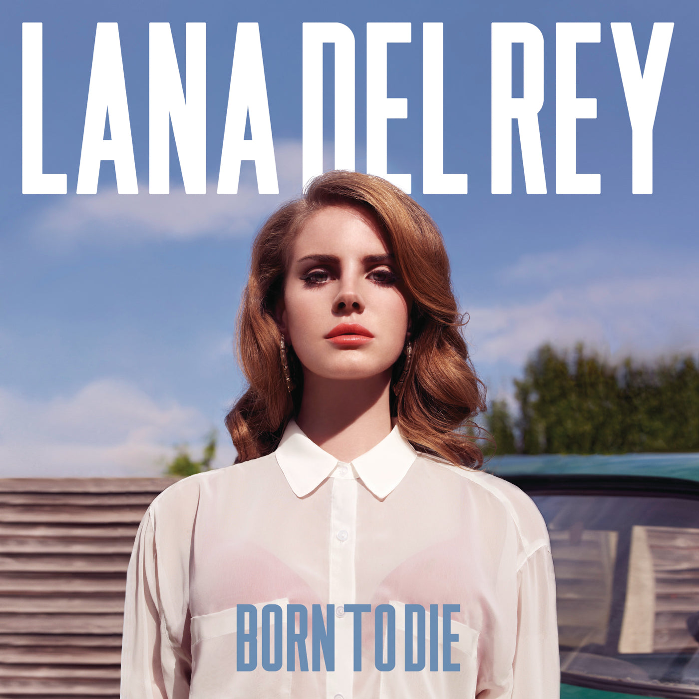DEL REY LANA - BORN TO DIE - LP