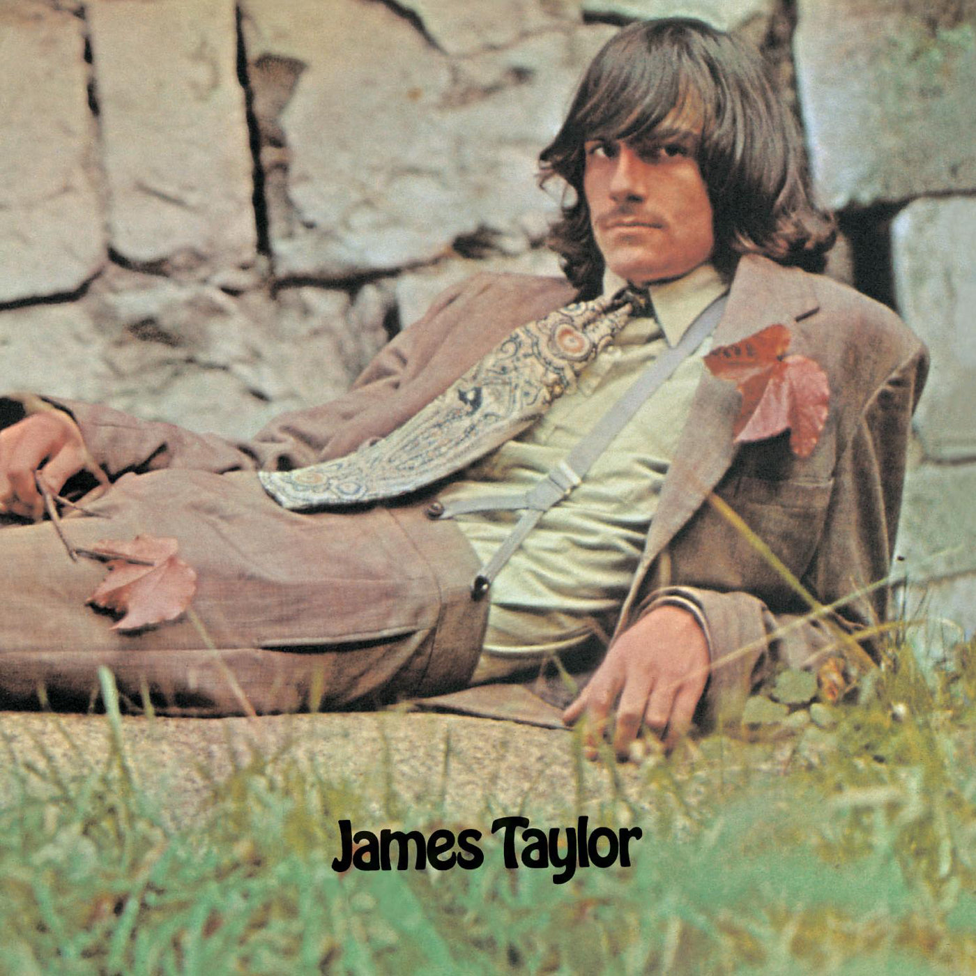 James Taylor - James Taylor - VINTAGE vinyl record for sale