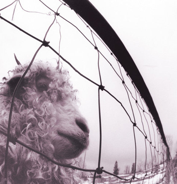 PEARL JAM - PEARL JAM / VS - LP