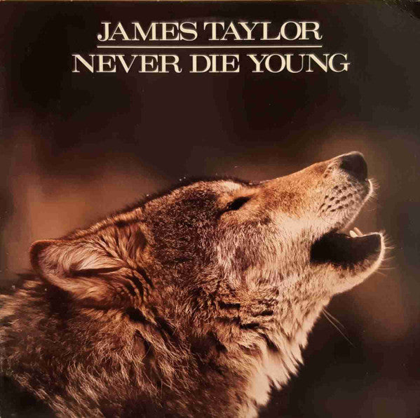 James Taylor - Never Die Young - VINTAGE vinyl record for sale