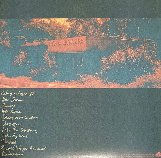 Turnover - Peripheral Vision - LP 2