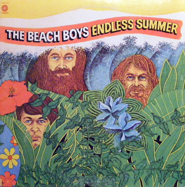 The Beach Boys - Endless Summer - VINTAGE vinyl record for sale
