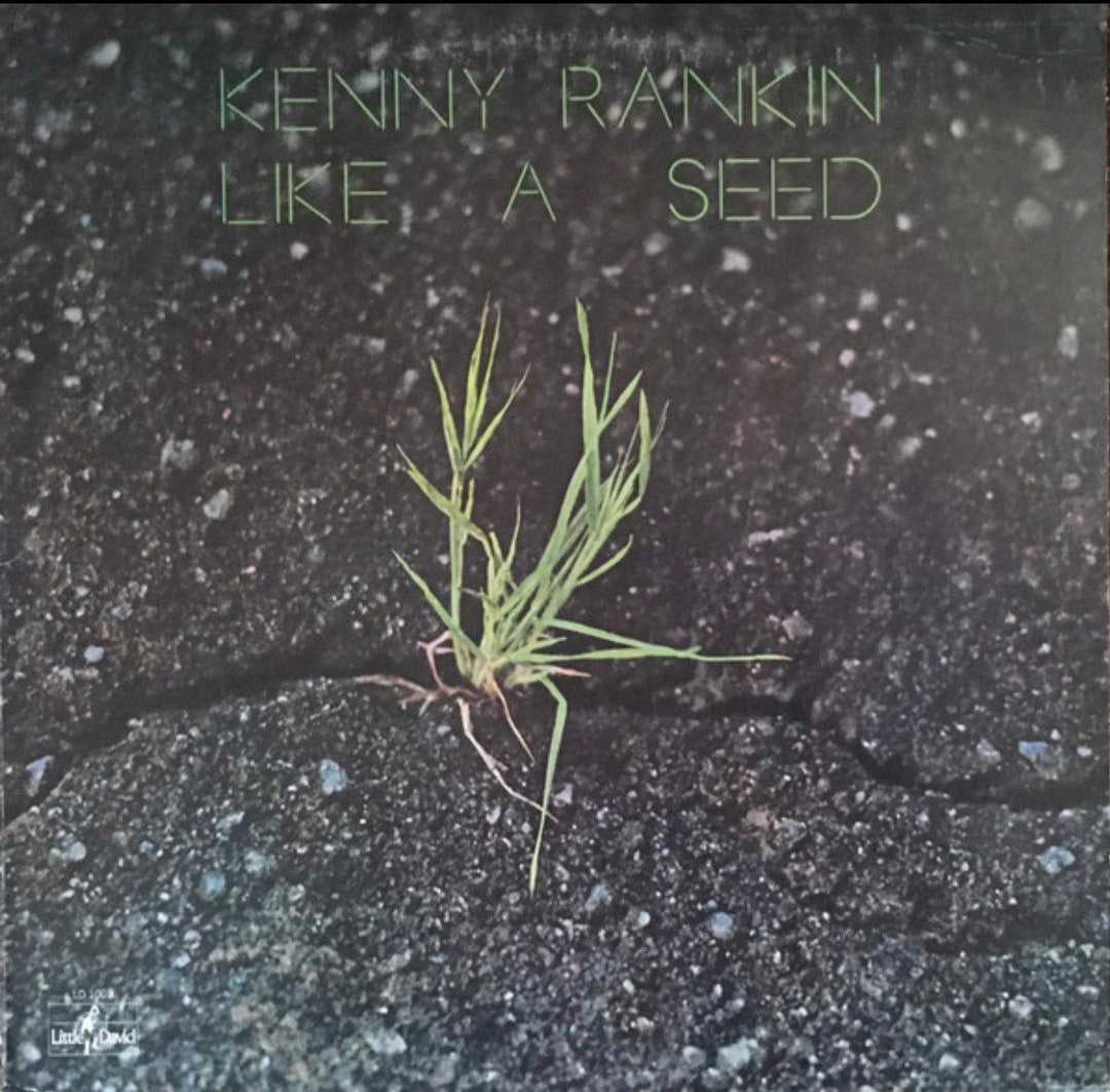 Kenny Rankin - Like a Seed - LP