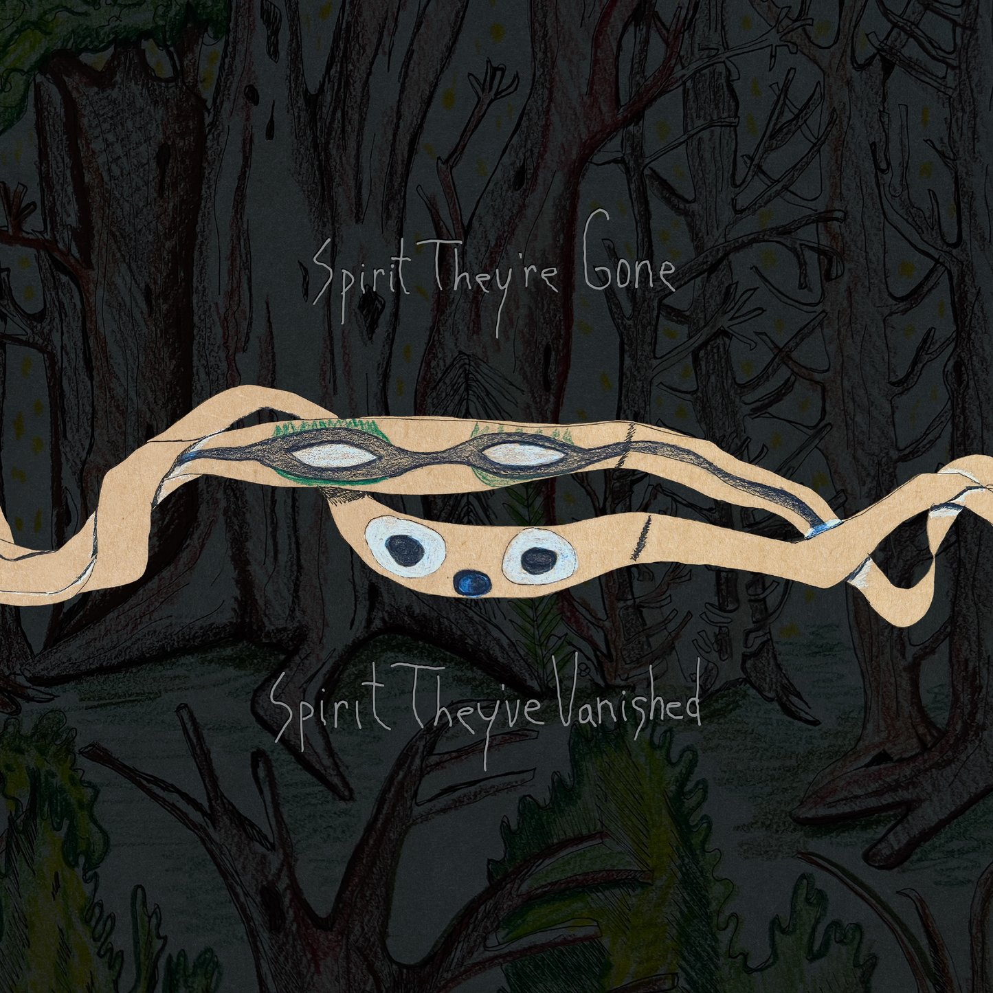 Animal Collective - Spirit They're Gone... - LP