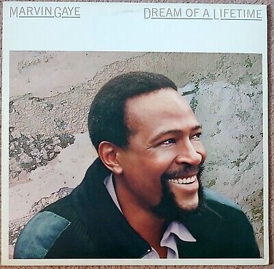 Marvin Gaye - Dream of Lifetime - LP