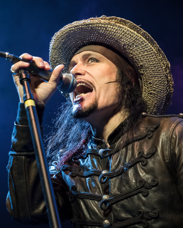 Artist photo of Adam Ant