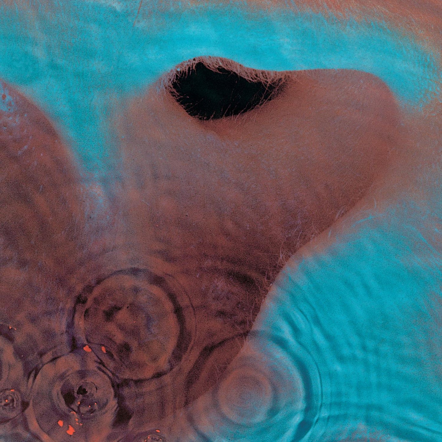Pink Floyd - Meddle - VINTAGE vinyl record for sale