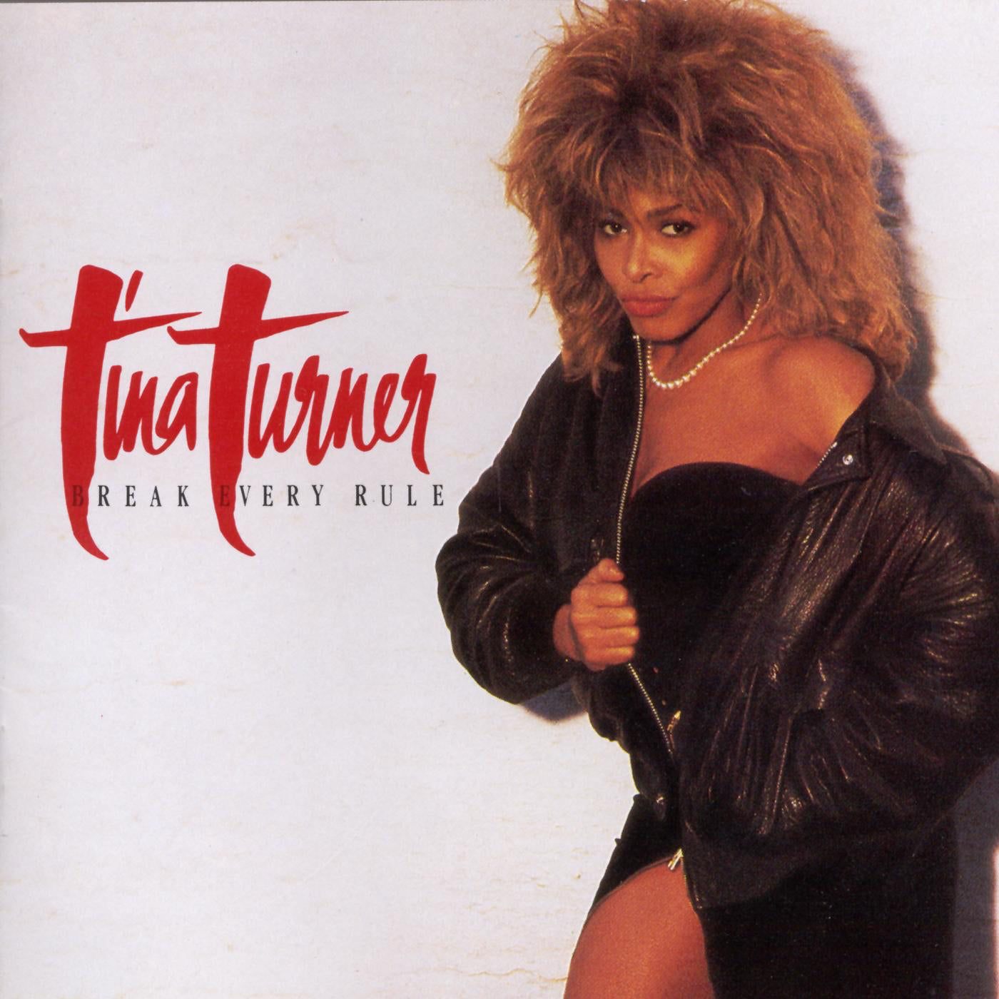 Tina Turner - Break Every Rule - LP