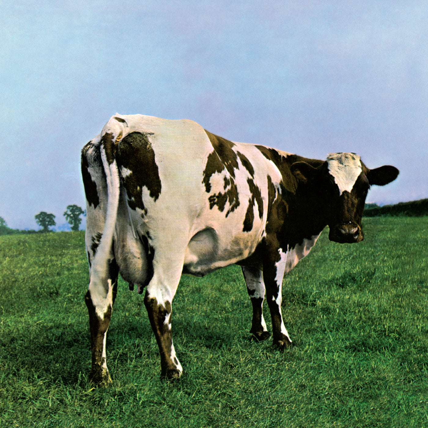 Pink Floyd - Atom Heart Mother - LP