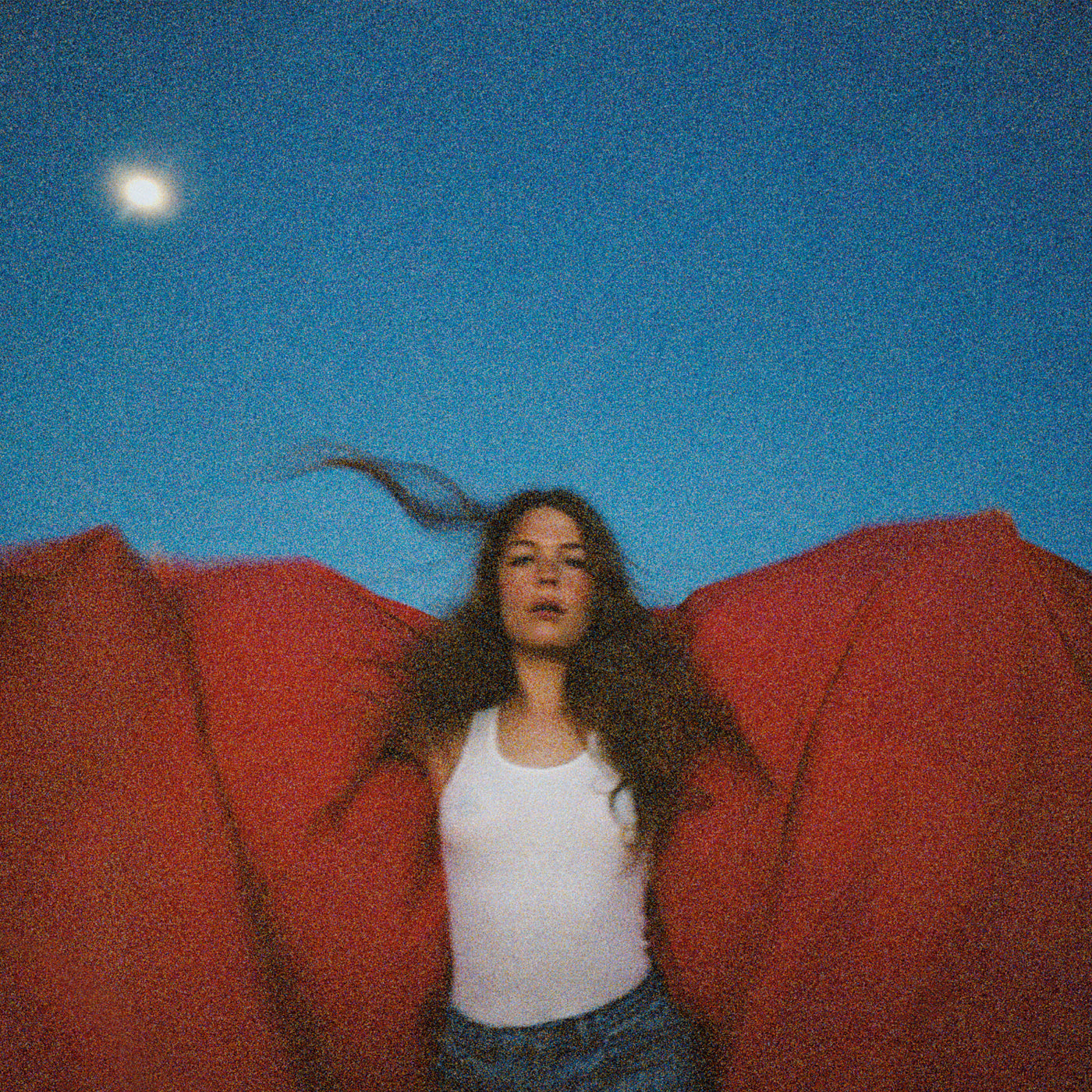 ROGERS MAGGIE - HEARD IT IN A PAST LIFE - LP