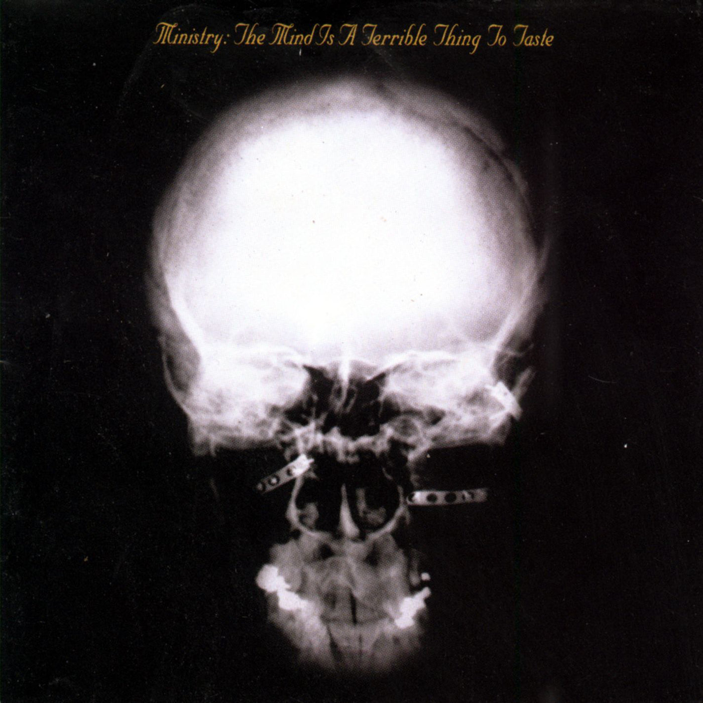 MINISTRY - MIND IS A TERRIBLE THING TO TASTE (180G) - LP