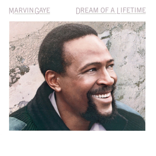 Marvin Gaye - Dream of a Lifetime - LP