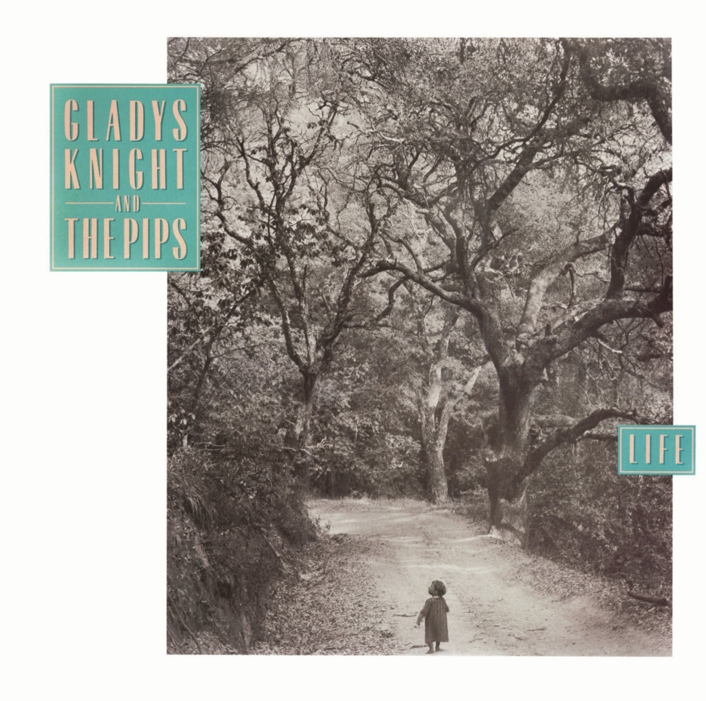 Gladys Knight and the Pips - Life - LP