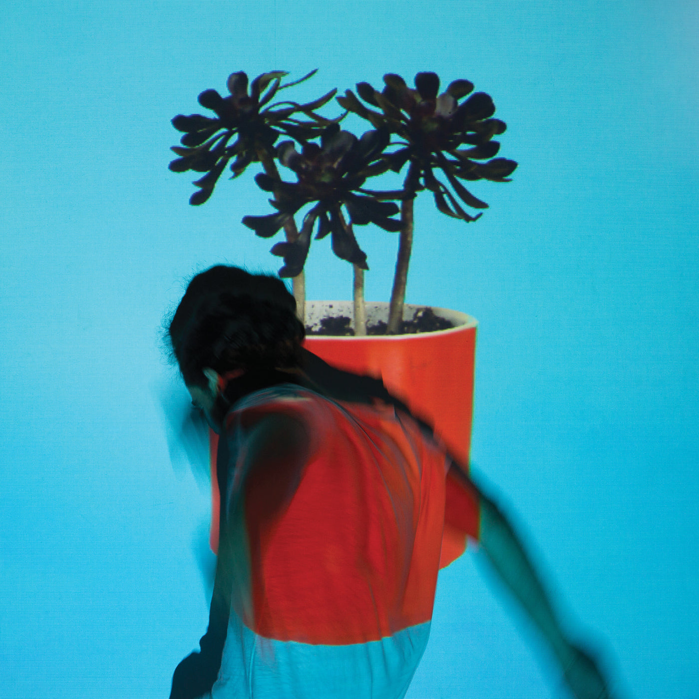 Local Natives - Sunlit Youth - LP