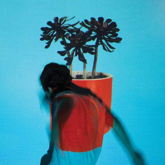 Local Natives - Sunlit Youth - LP