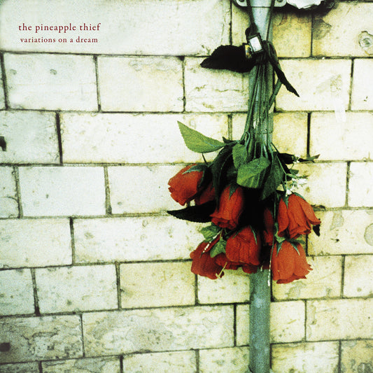The Pineapple Thief - Variations On a Dream - LP