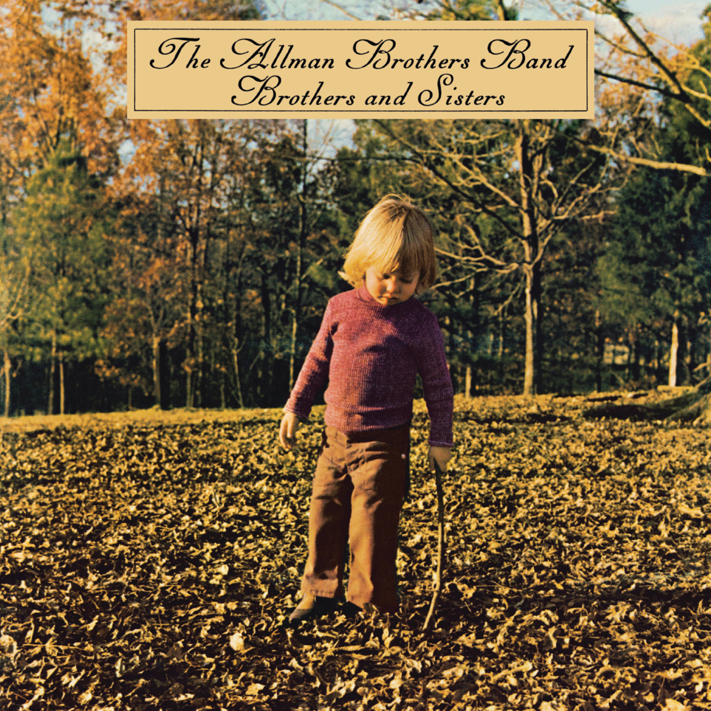 The Allman Brohers Band - Brothers and Sisters - LP