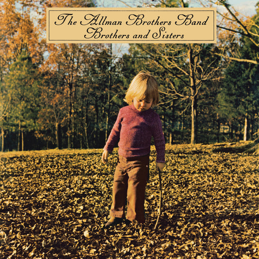 The Allman Brohers Band - Brothers and Sisters - LP