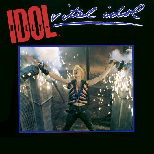 Billy Idol - Vital Idol - VINTAGE vinyl record for sale