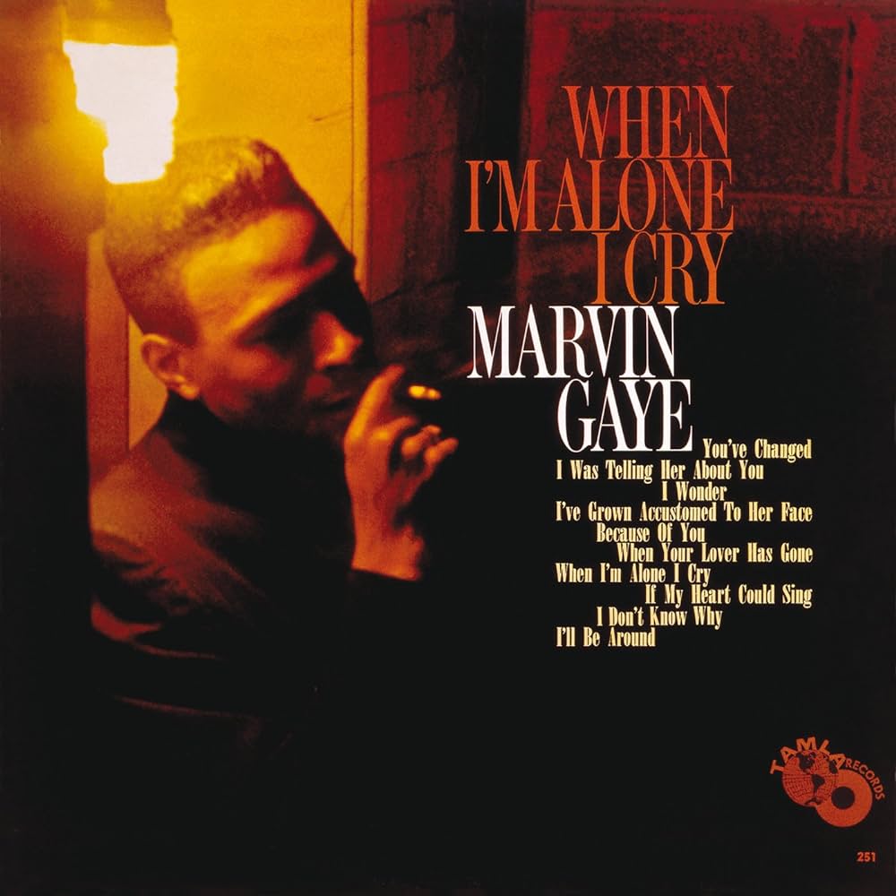 Marvin Gaye - When I'm Alone I Cry - LP