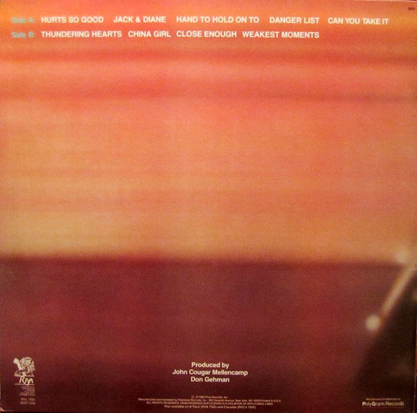 John Cougar - American Fool - LP 2