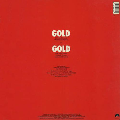 Grandmaster Flash And The Furious Five - Gold - 12" 3