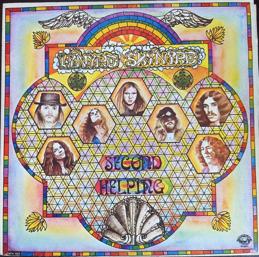 Lynyrd Skynyrd - Second Helping - VINTAGE vinyl record for sale