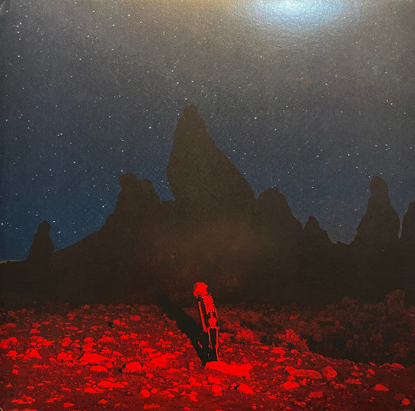 BRIDGERS  PHOEBE - PUNISHER - LP