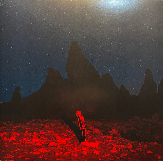 BRIDGERS  PHOEBE - PUNISHER - LP