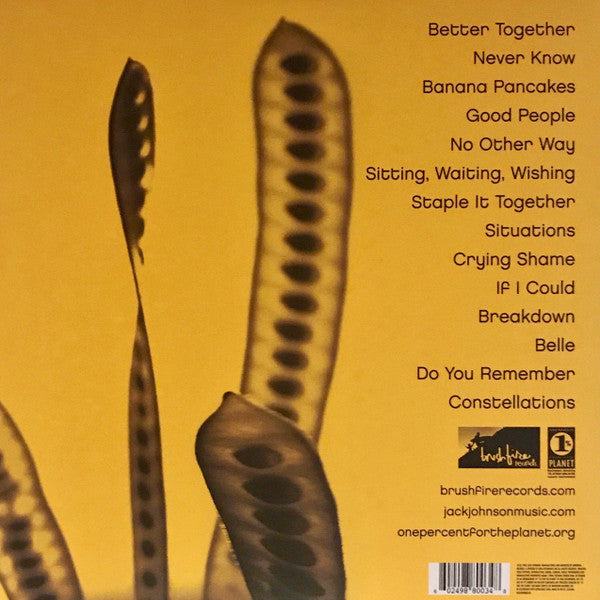 Jack Johnson - In Between Dreams - LP 3