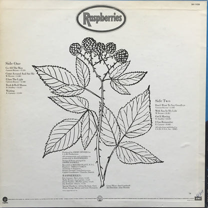 Raspberries - Raspberries - Vinyl, LP, Album 3