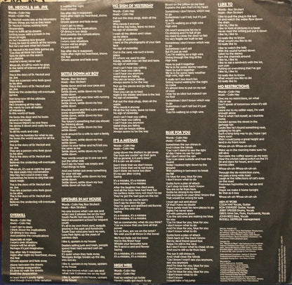 Dan Fogelberg - Souvenirs - LP 3
