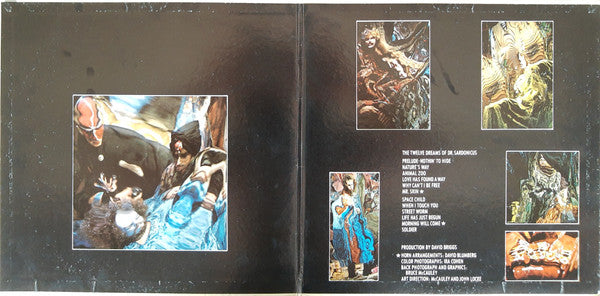 Spirit - Twelve Dreams Of Dr. Sardonicus - LP 2