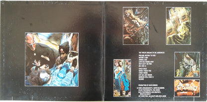 Spirit - Twelve Dreams Of Dr. Sardonicus - LP 2