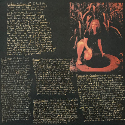 Turnover - Peripheral Vision - LP 3