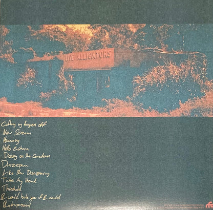 Turnover - Peripheral Vision - LP 2