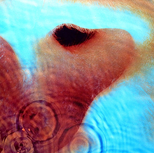 Pink Floyd - Meddle - VINTAGE vinyl record for sale