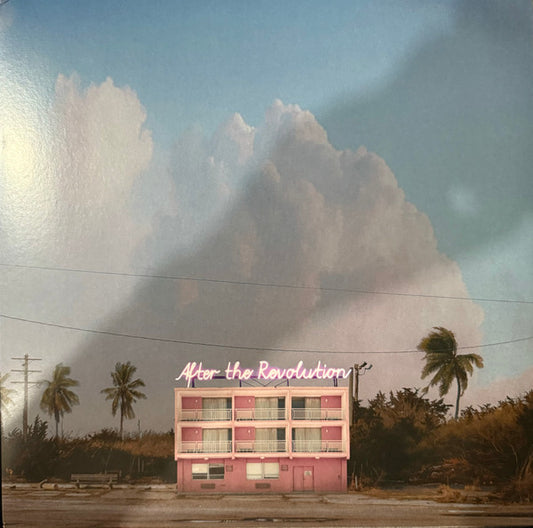Carsie Blanton - After The Revolution - LP
