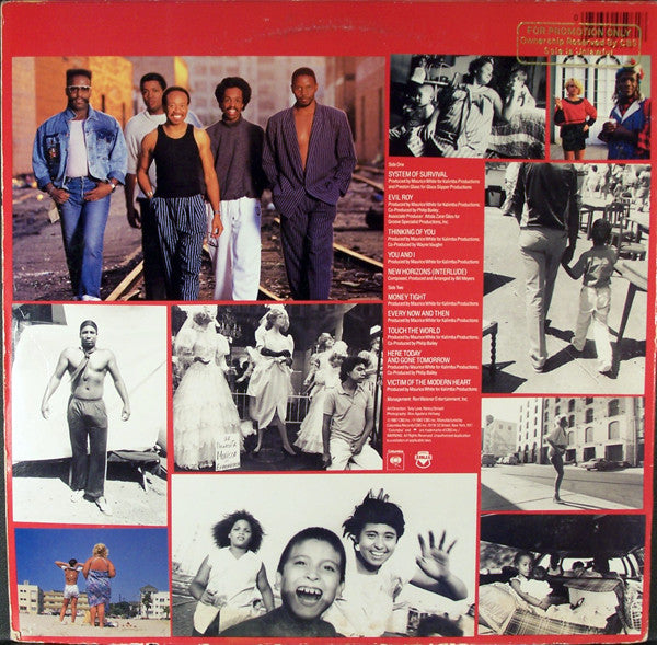 Earth, Wind & Fire - Touch The World - LP 2