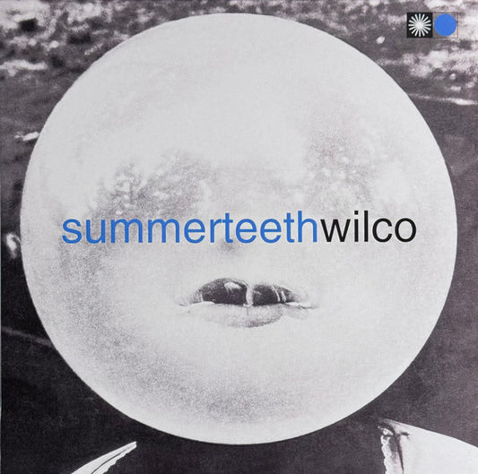 Wilco - Summerteetch - LP