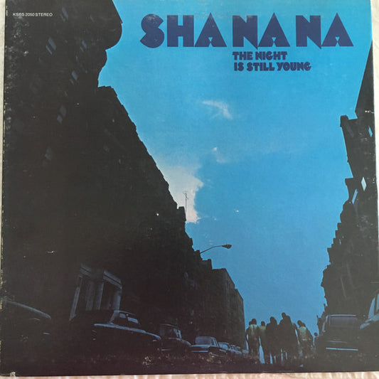 Sha Na Na - The Night Is Still Young - VINTAGE vinyl record for sale
