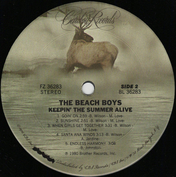The Beach Boys - Keepin' The Summer Alive - LP 4