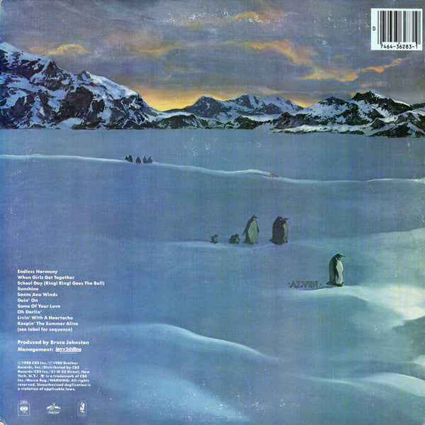 The Beach Boys - Keepin' The Summer Alive - LP 2