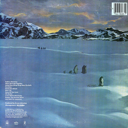 The Beach Boys - Keepin' The Summer Alive - LP 2