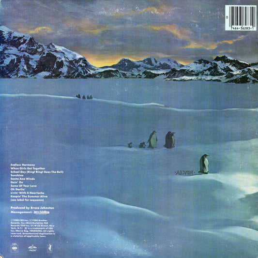 The Beach Boys - Keepin' The Summer Alive - LP 2