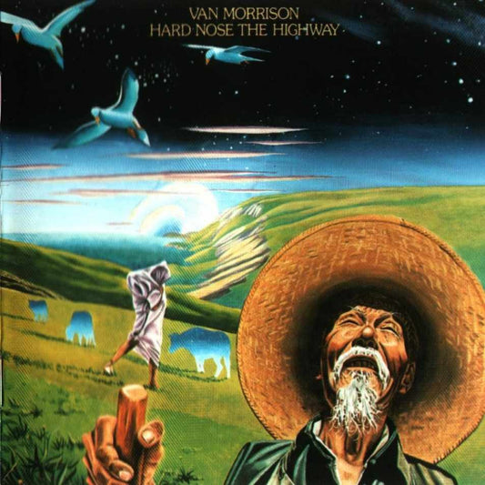 Van Morrison - Hard Nose The Highway - LP