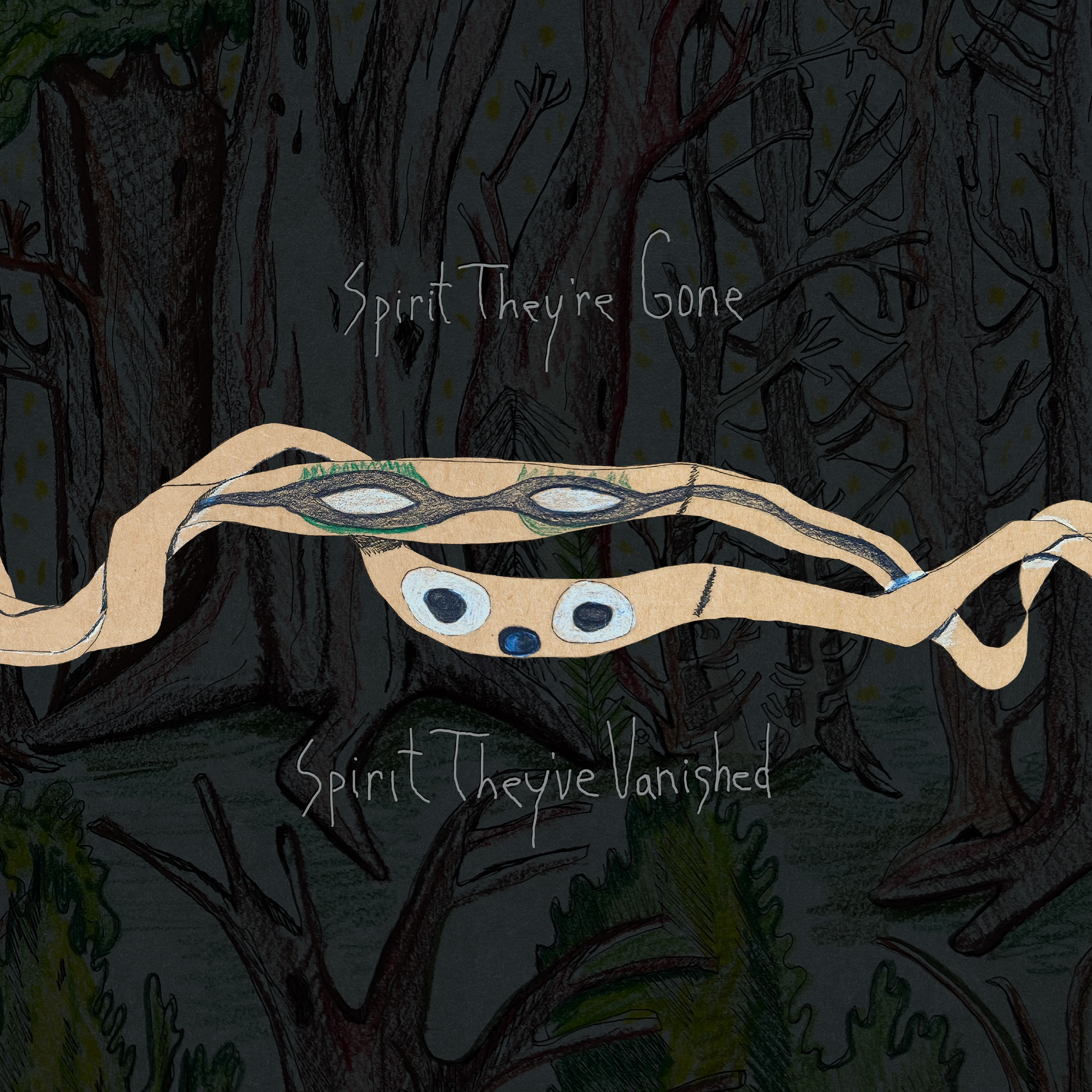 Animal Collective - Spirit They're Gone... - LP