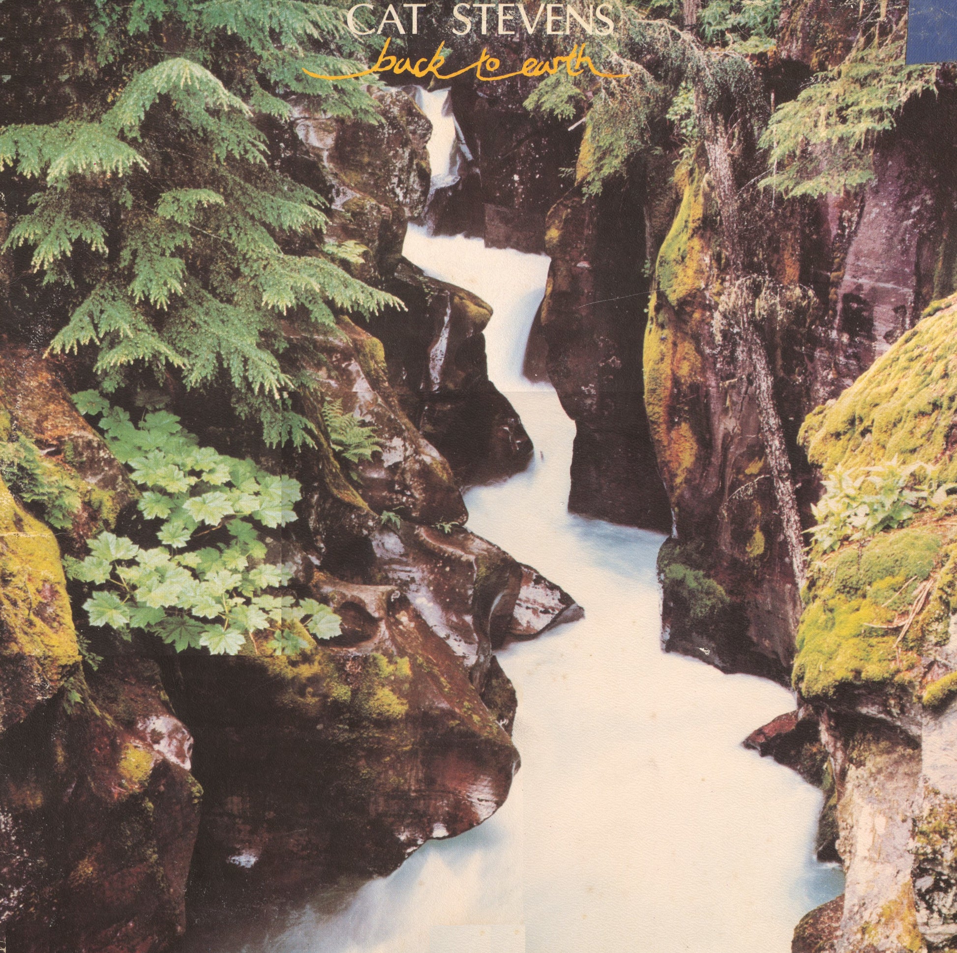 Cat Stevens - Back To Earth - LP